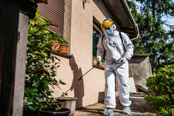 Pest Prevention Services in Shark River Hills, NJ