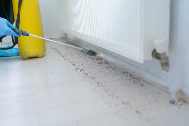 Best Local Pest Control Services  in Shark River Hills, NJ
