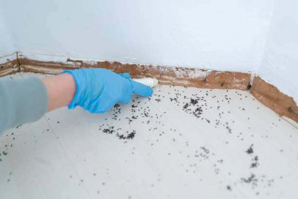 Best Affordable Pest Control Services  in Shark River Hills, NJ